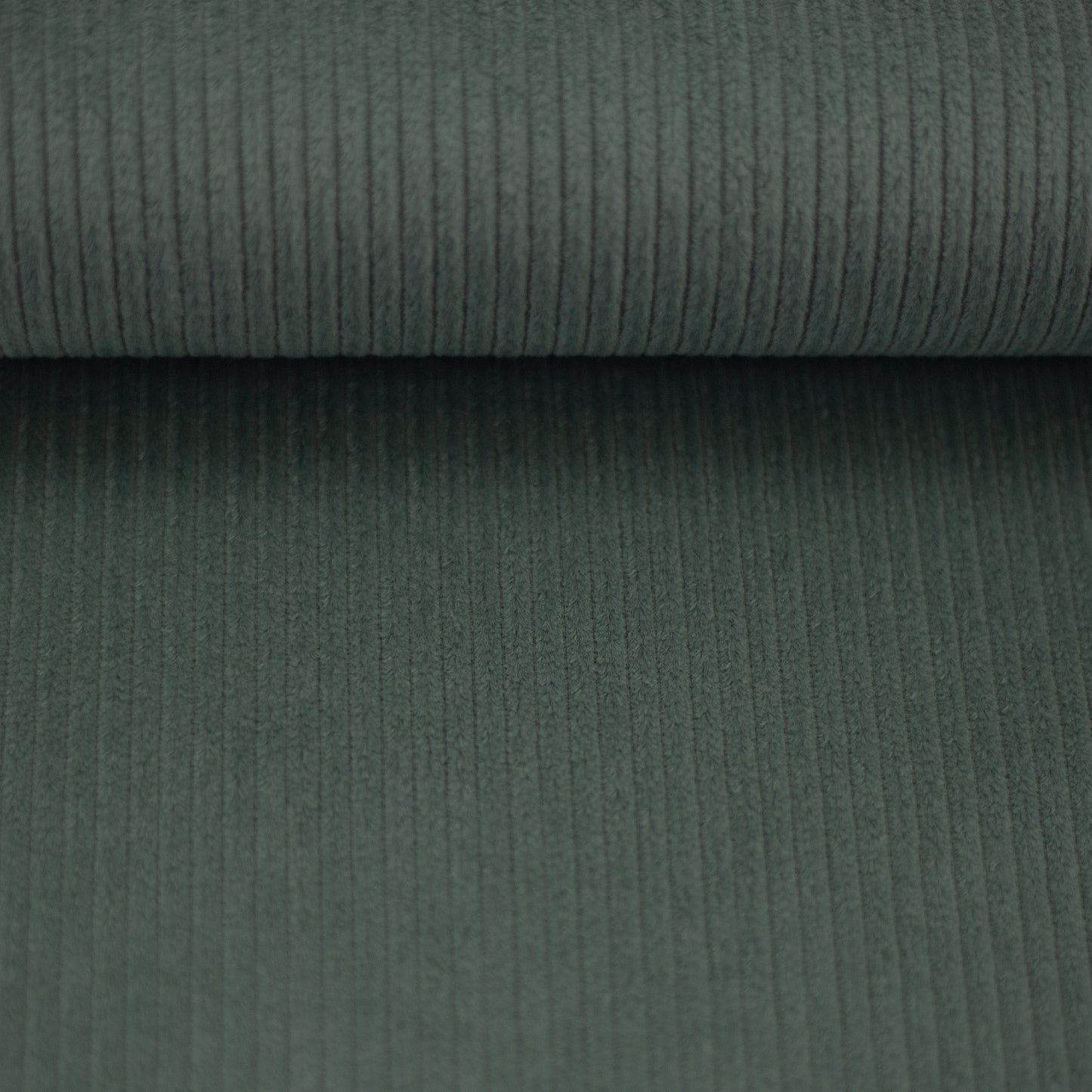 Cordjersey Marian Schilfgrün 61