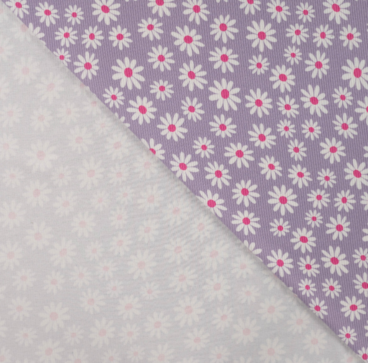 Ripp Jersey Lila Gänseblümchen