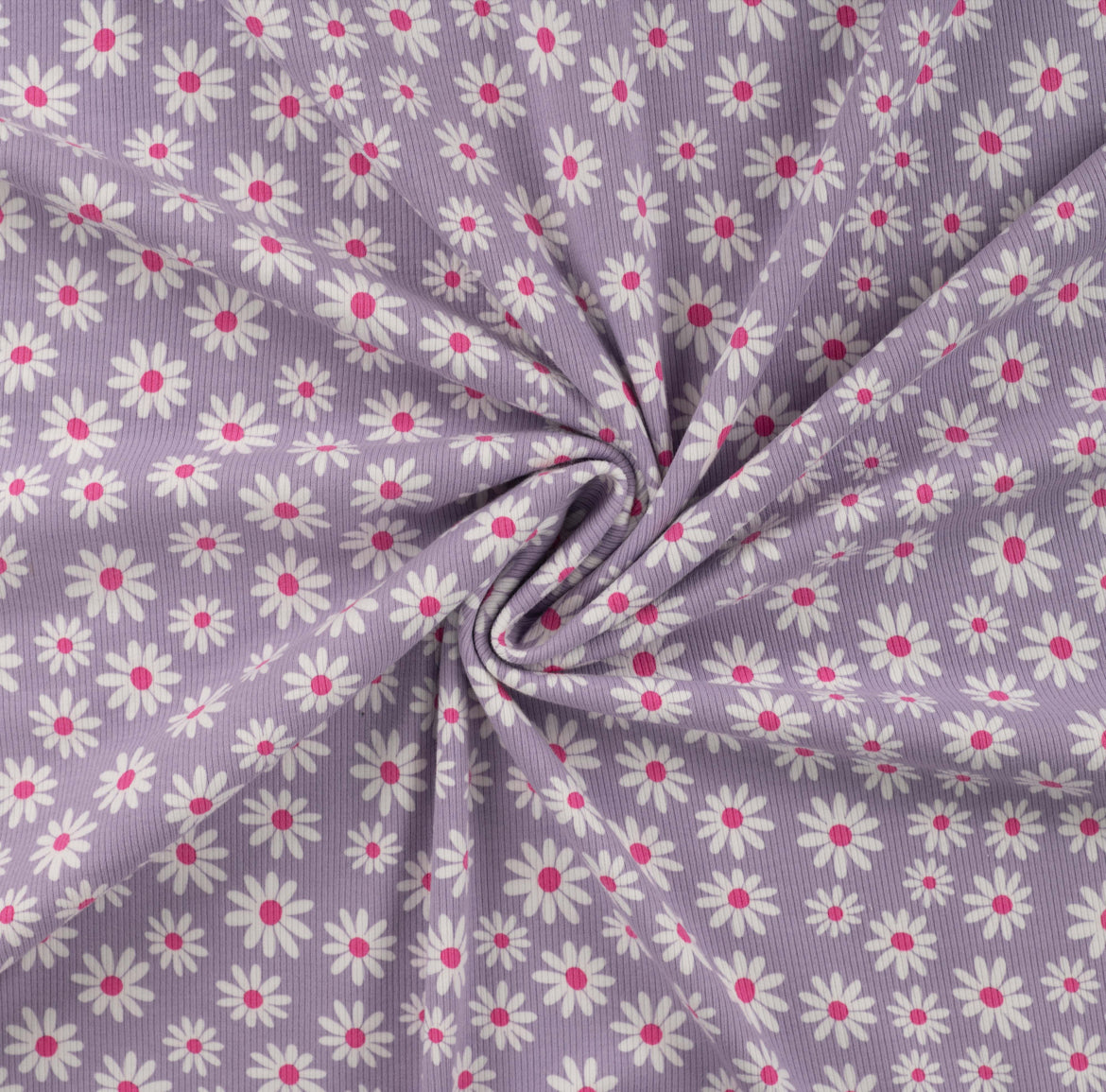Ripp Jersey Lila Gänseblümchen