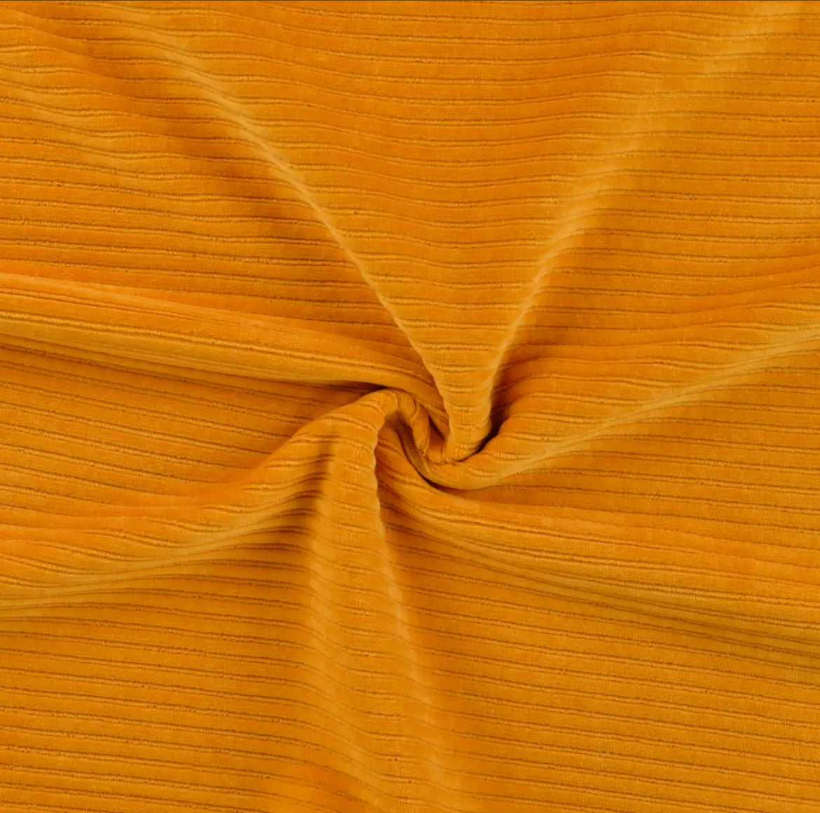 Cord Jersey Nicky Ocker 15